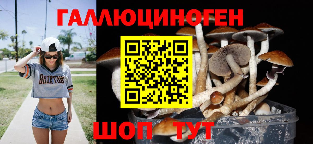 Псилоцибиновые грибы MAGIC MUSHROOMS Нарткала