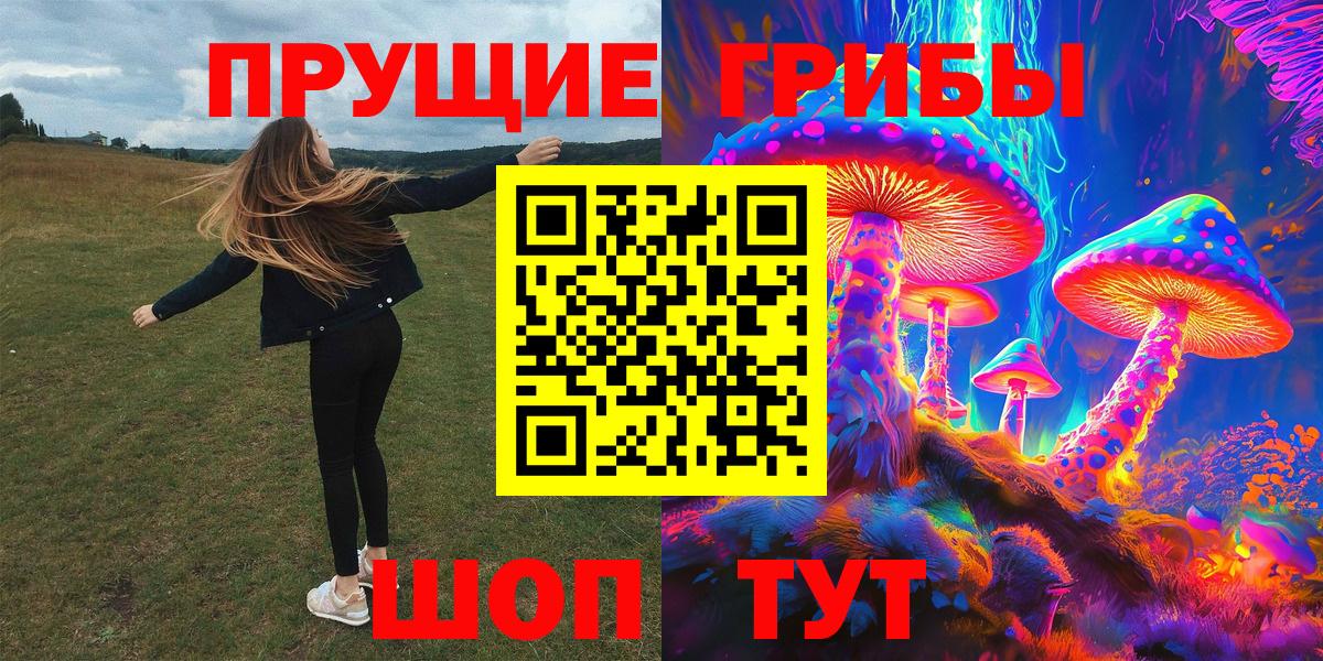 Галлюциногенные грибы Magic Shrooms  Вход с VPN  Нарткала  Псилоцибиновые грибы Psilocybe 